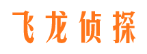 肥西市调查公司